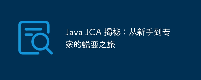 Java JCA 揭秘:从新手到专家的蜕变之旅