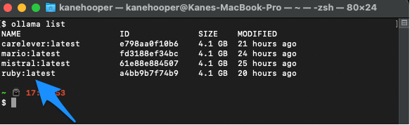 为了保护客户隐私,使用Ruby在本地运行开源AI模型