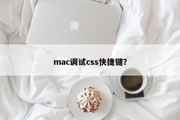CSS调试在Mac上的快捷键？