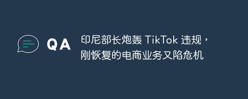 印尼部长炮轰 TikTok 违规,刚恢复的电商业务又陷危机