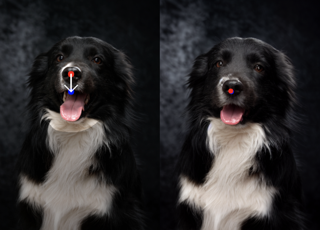 拖拽P图技术又升级了:StableDrag更稳、更准,南大、腾讯联合打造