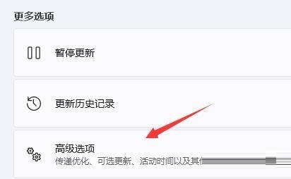 win11不能玩地平线4吗?win11怎么玩地平线4?