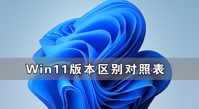 比较Win11的各个版本有何异同？Win11版本差异性总览