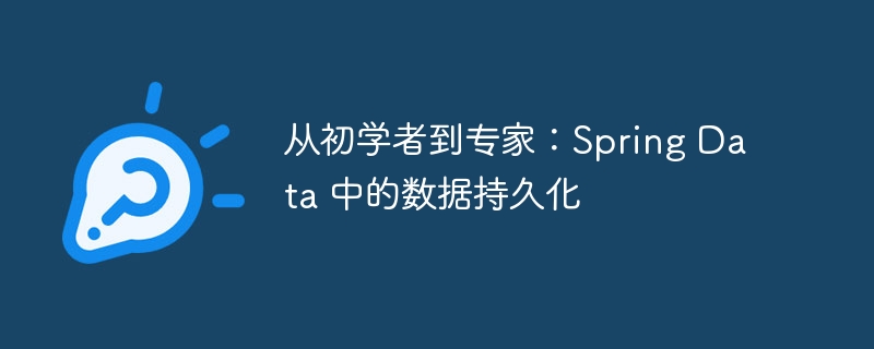 从初学者到专家：Spring Data 中的数据持久化