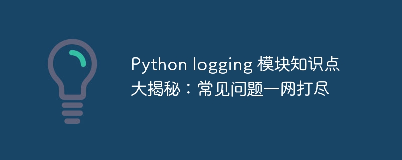 Python logging 模块知识点大揭秘:常见问题一网打尽