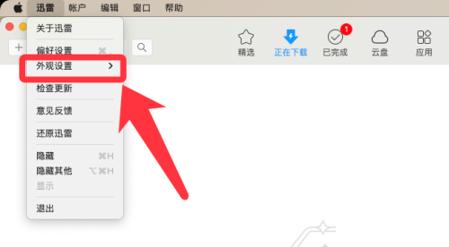 迅雷mac版怎么设置主题风格-迅雷mac版设置主题风格的方法