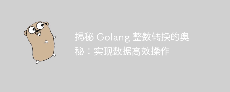 揭秘 Golang 整数转换的奥秘:实现数据高效操作