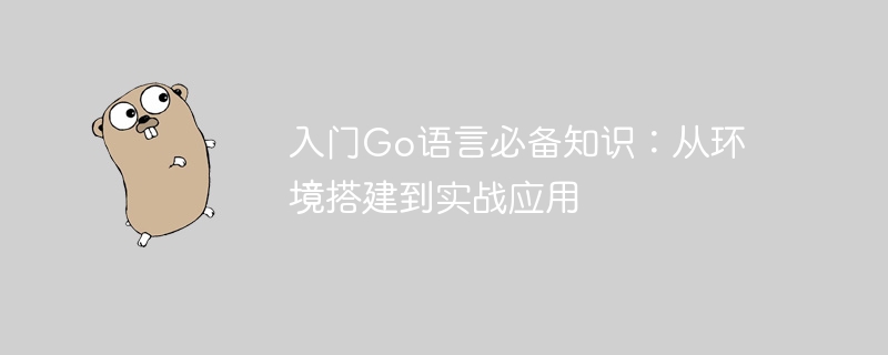 入门Go语言必备知识:从环境搭建到实战应用