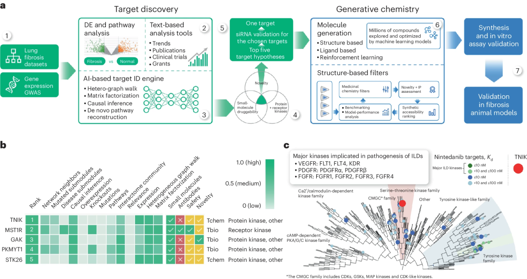 18个月，开创AI药研先例，Insilico公开其首款AI药物研发全过程，登Nature子刊
