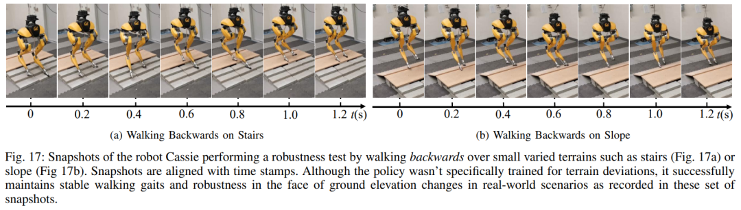 陪跑又快又稳，机器人跑步搭子来了
