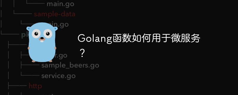 Golang函数如何用于微服务?