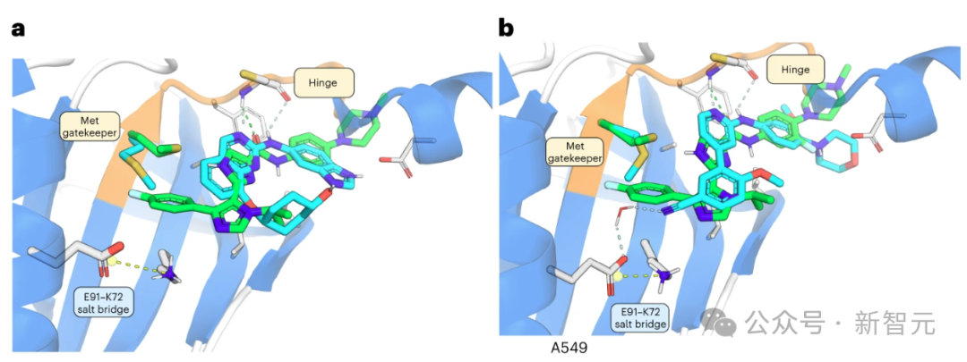 纯AI研发新药登Nature,效率提升3倍,临床实验疗效拔群