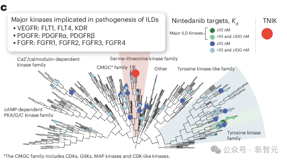 纯AI研发新药登Nature,效率提升3倍,临床实验疗效拔群
