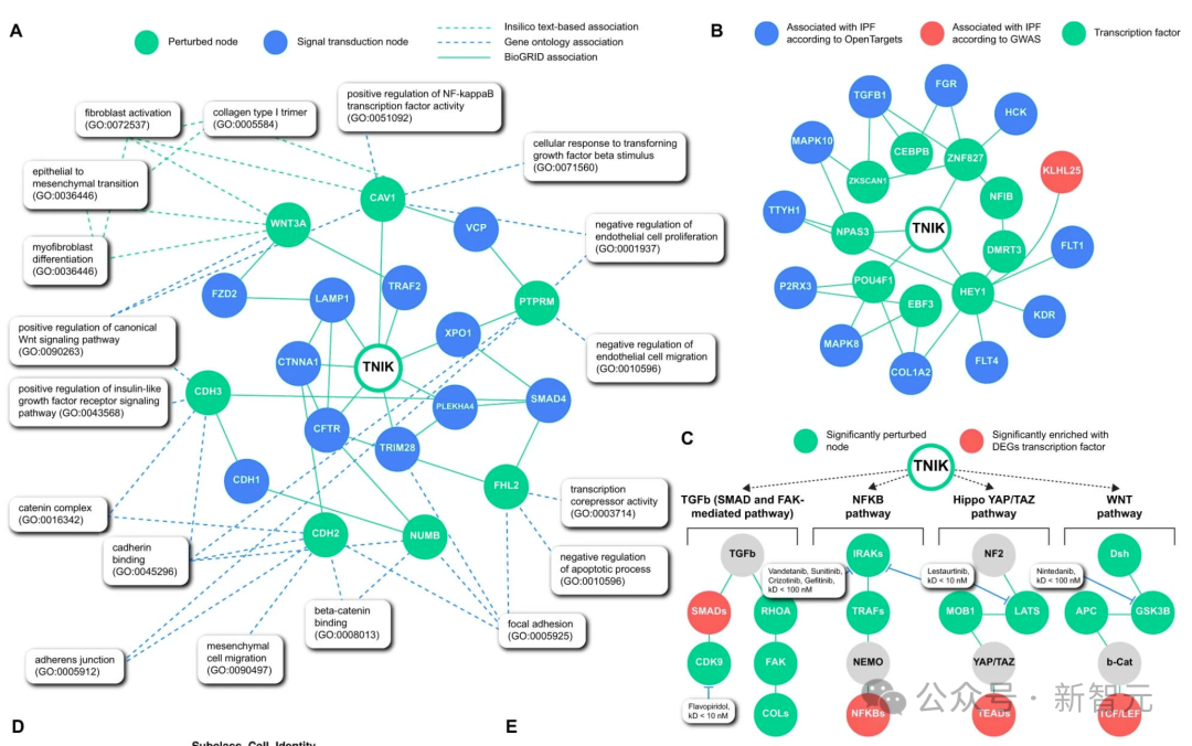 纯AI研发新药登Nature,效率提升3倍,临床实验疗效拔群