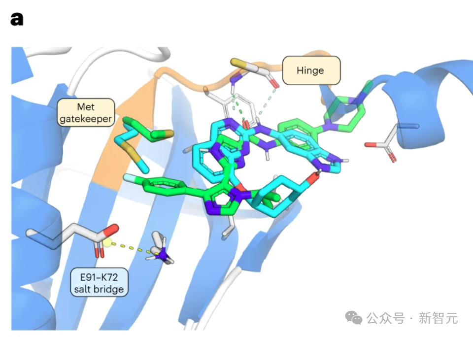 纯AI研发新药登Nature,效率提升3倍,临床实验疗效拔群