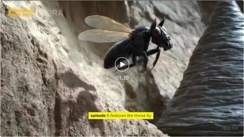 实名羡慕！这些人已经用上了Sora