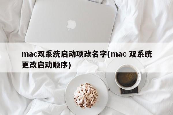 mac双系统启动项改名字(mac 双系统更改启动顺序)