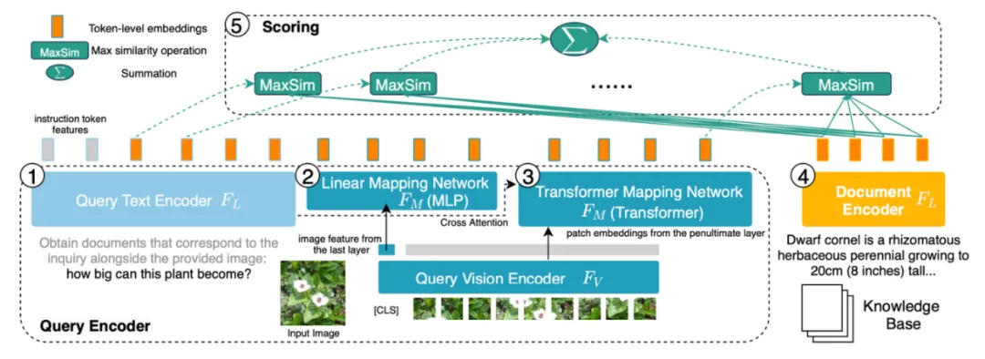 剑桥团队开源:赋能多模态大模型RAG应用,首个预训练通用多模态后期交互知识检索器
