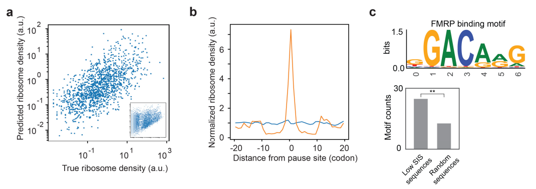 可发现药物靶点,哈佛等机构开发了一种对蛋白建模的深度学习方法