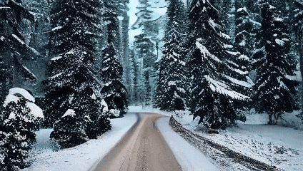 Open-Sora全面开源升级:支持16s视频生成和720p分辨率