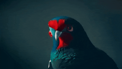 Open-Sora全面开源升级:支持16s视频生成和720p分辨率