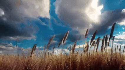 Open-Sora全面开源升级:支持16s视频生成和720p分辨率