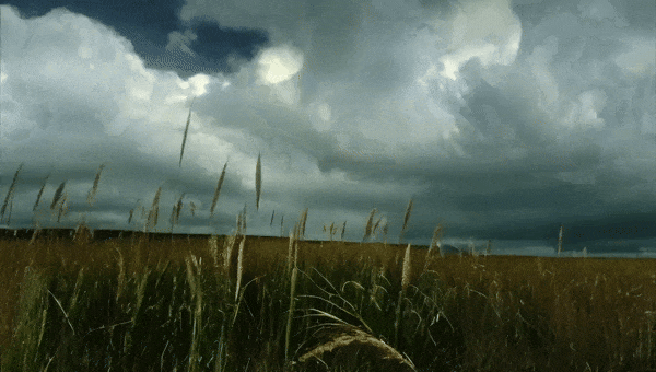 Open-Sora全面开源升级:支持16s视频生成和720p分辨率