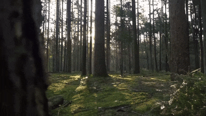 Open-Sora全面开源升级:支持16s视频生成和720p分辨率