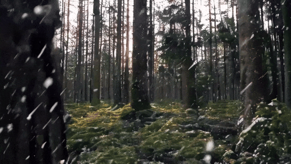 Open-Sora全面开源升级:支持16s视频生成和720p分辨率