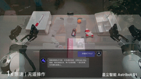 会颠勺的国产机器人来了：大模型加持，家务能力满分