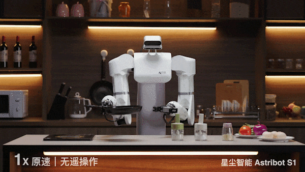 会颠勺的国产机器人来了：大模型加持，家务能力满分