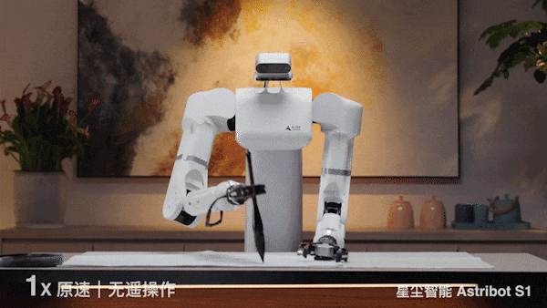 会颠勺的国产机器人来了：大模型加持，家务能力满分