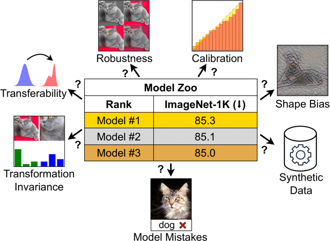 后Sora时代，CV从业者如何选择模型？卷积还是ViT，监督学习还是CLIP范式