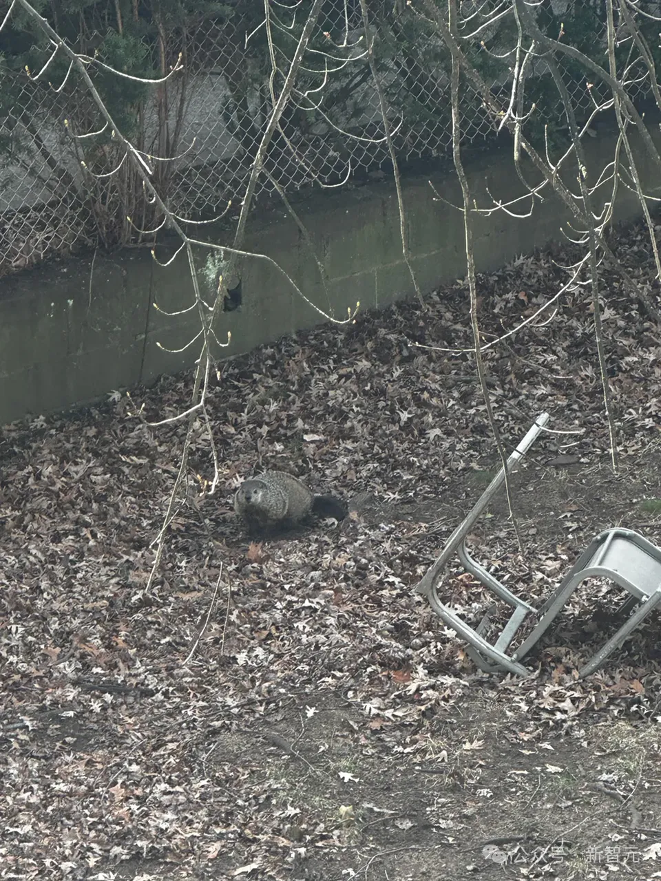 Meta智能眼镜用上多模态Llama 3!国内AR眼镜机会来了