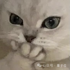 小红书让智能体们吵起来了!联合复旦推出大模型专属群聊工具