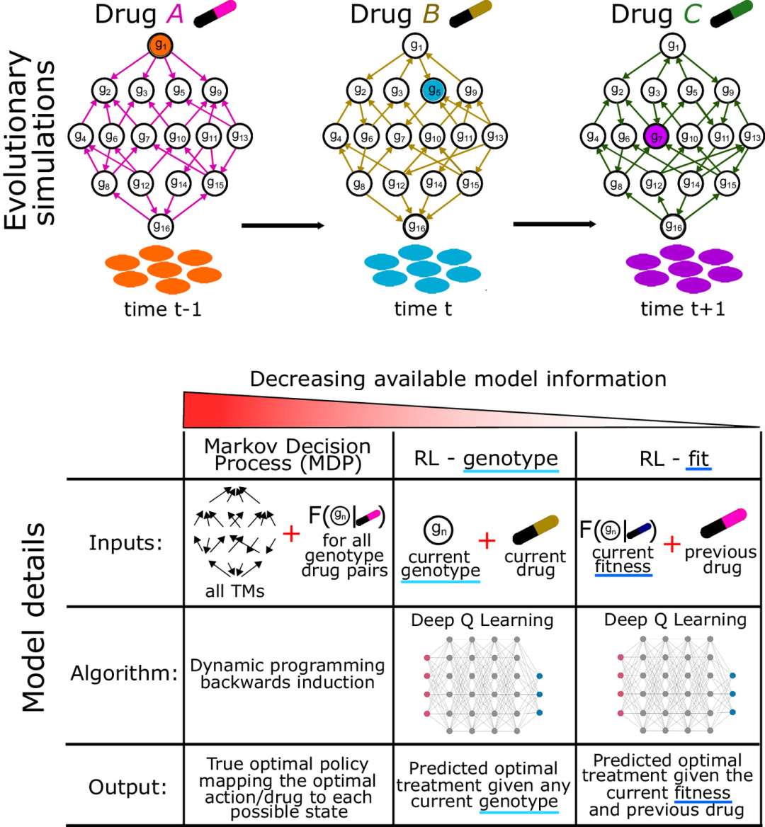 AI 找出限制抗生素耐药性的最佳治疗策略,预防「超级细菌」