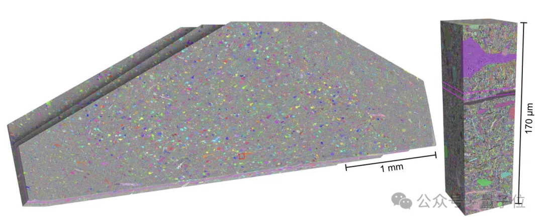 最详细人脑3D地图登Science!GPT-4参数只相当于人类0.2%