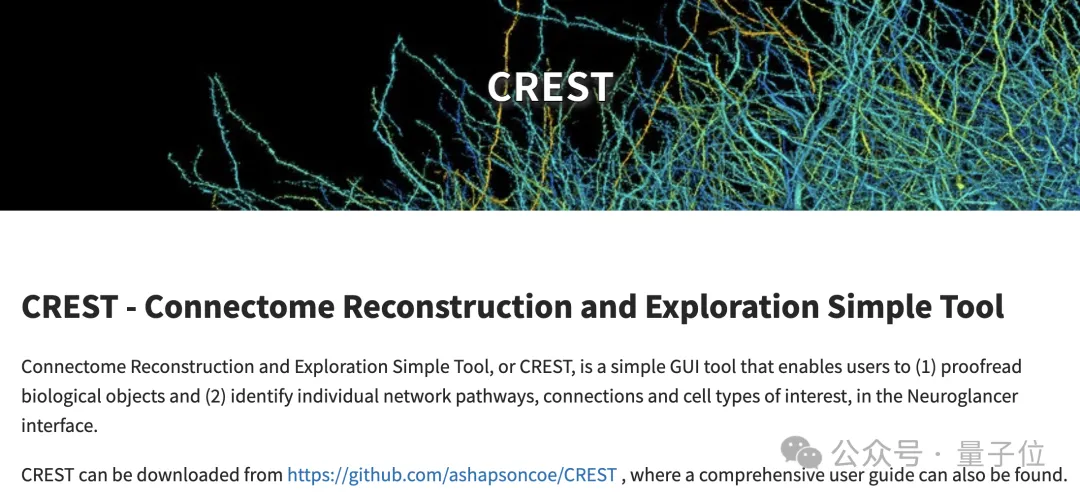 最详细人脑3D地图登Science!GPT-4参数只相当于人类0.2%
