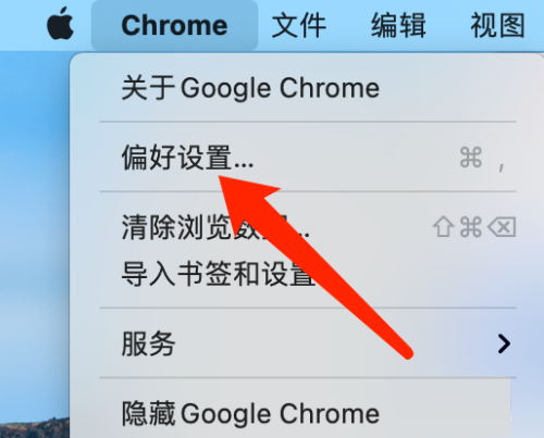 谷歌浏览器Google Chrome For Mac如何进行安全检查-安全检查教程