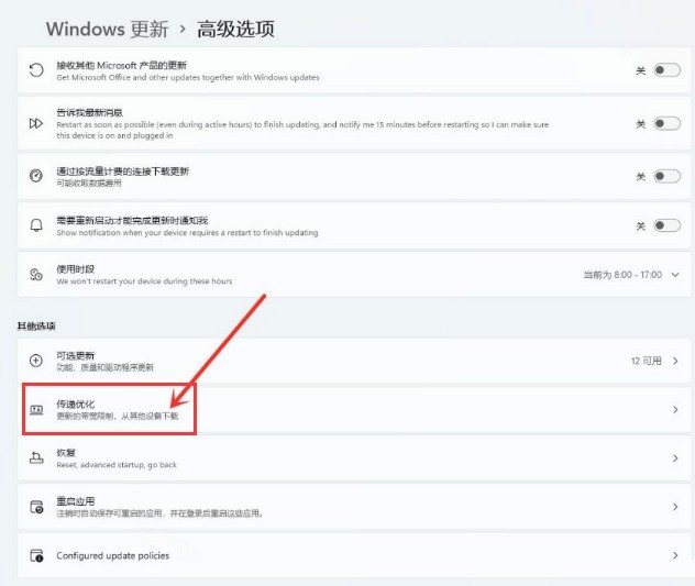 Windows11怎么开启传递优化功能 Windows11开启传递优化功能方法