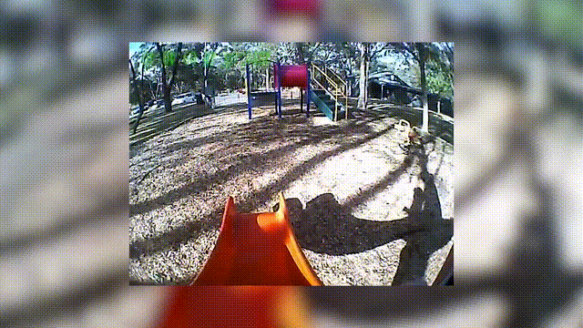 美国教授用2岁女儿训AI模型登Science！人类幼崽头戴相机训练全新AI