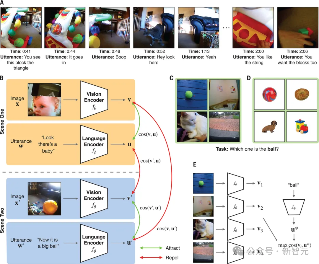 美国教授用2岁女儿训AI模型登Science！人类幼崽头戴相机训练全新AI