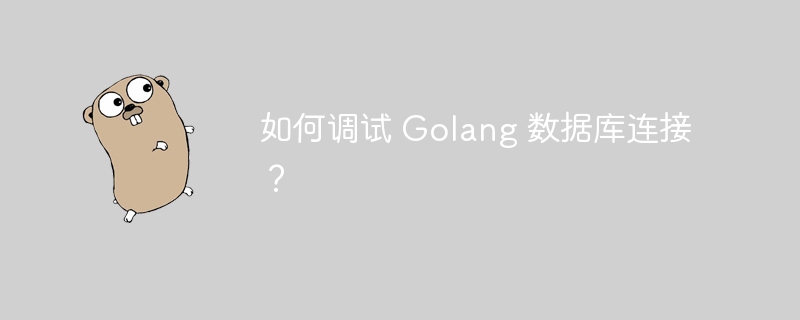 如何调试 Golang 数据库连接?