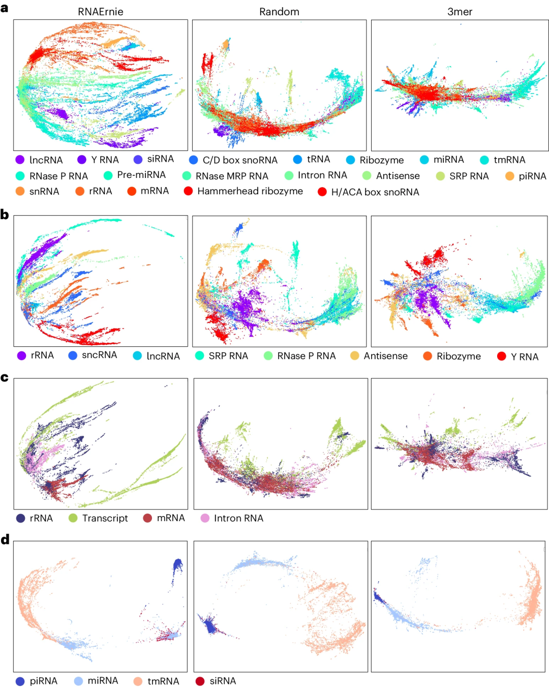 多功能RNA分析,百度团队基于Transformer的RNA语言模型登Nature子刊