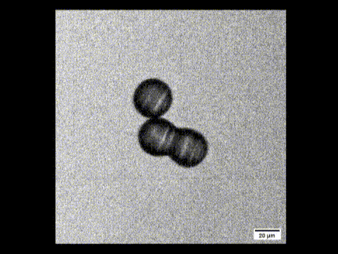 「懂物理」是具身智能核心！北大高逼真物理仿真，加持磁性微米级机器人登Nature子刊