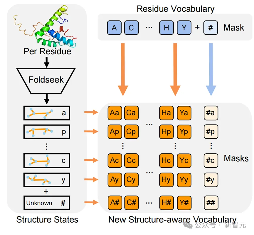 单模型斩获「蛋白质突变预测」榜一!西湖大学提出基于结构词表方法 | ICLR 2024 Spotlight