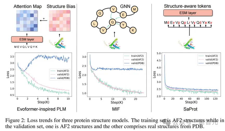 单模型斩获「蛋白质突变预测」榜一!西湖大学提出基于结构词表方法 | ICLR 2024 Spotlight