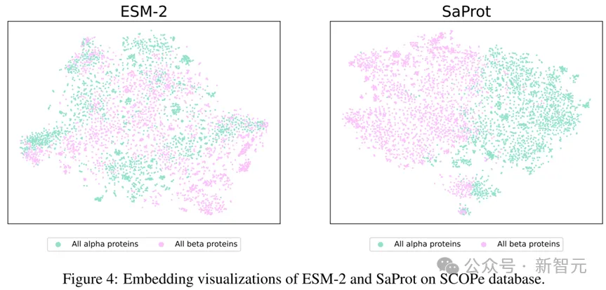 单模型斩获「蛋白质突变预测」榜一!西湖大学提出基于结构词表方法 | ICLR 2024 Spotlight