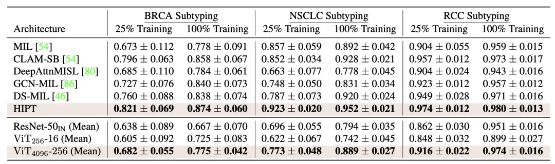 基于分层自监督学习将视觉Transformer扩展到千兆像素图像
