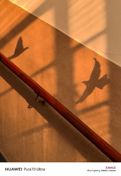 HUAWEI Pura 70 锐意风尚之夜,先锋姿态诠释锐意向前